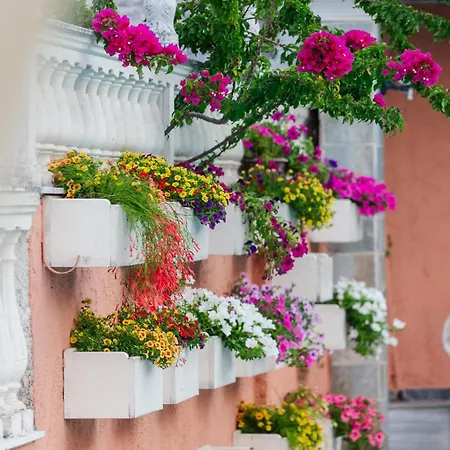 Victoria Hill Dassia (Corfu)