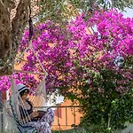 Victoria Hill מלון