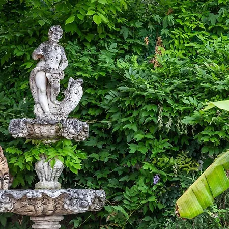 Victoria Hill דאסיה